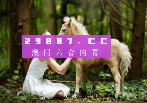 澳门六号码头，今日开奖揭秘与回顾