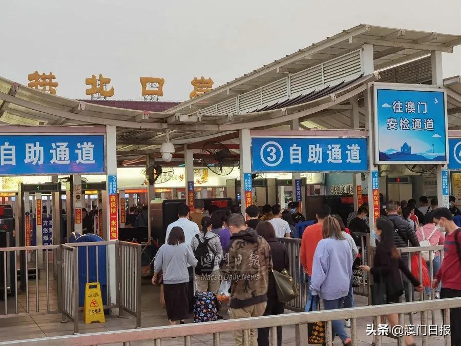 澳门六号彩开奖309，今日直播与开奖结果深度解析