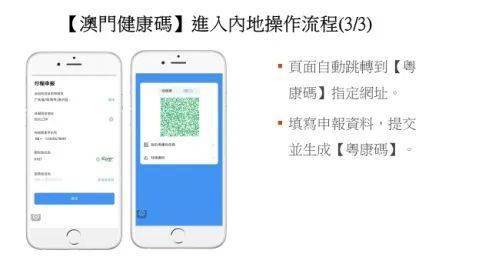 澳门六号码头开票信息指南，从入门到精通的详细视频教程