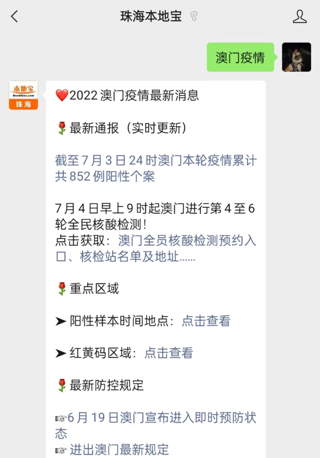 澳门六号码头预约最新消息查询指南