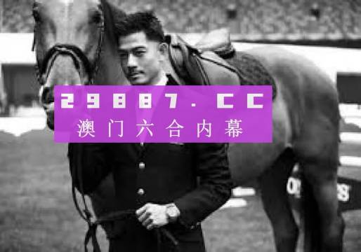澳门六哥今日最新消息，新闻直播视频在线观看完整版