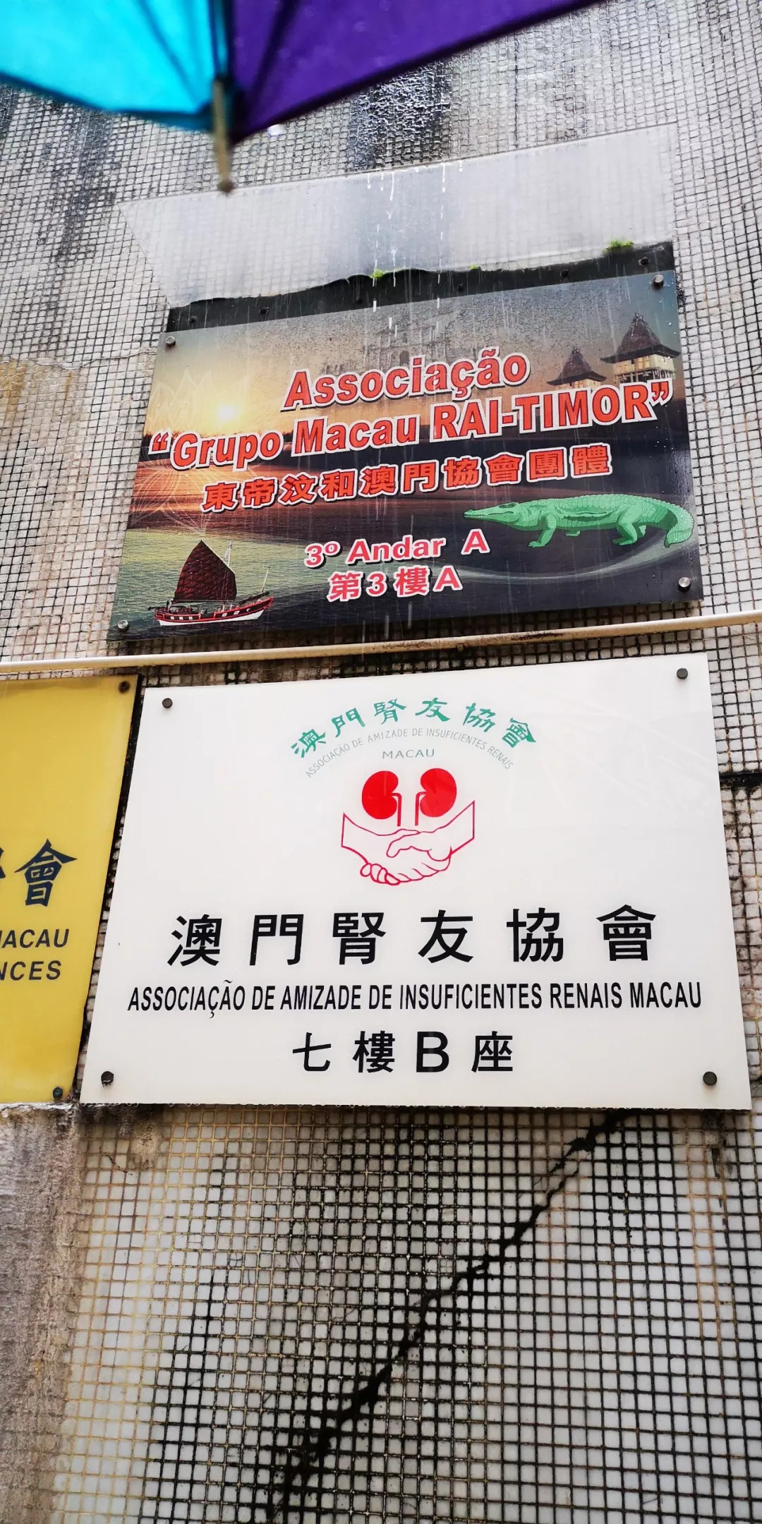 澳门六叔公资料，探寻与分享的最佳途径