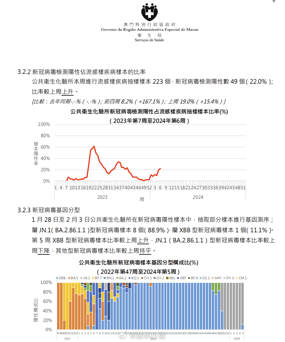 澳门六号码头走势图表，最新消息与价格动态解析