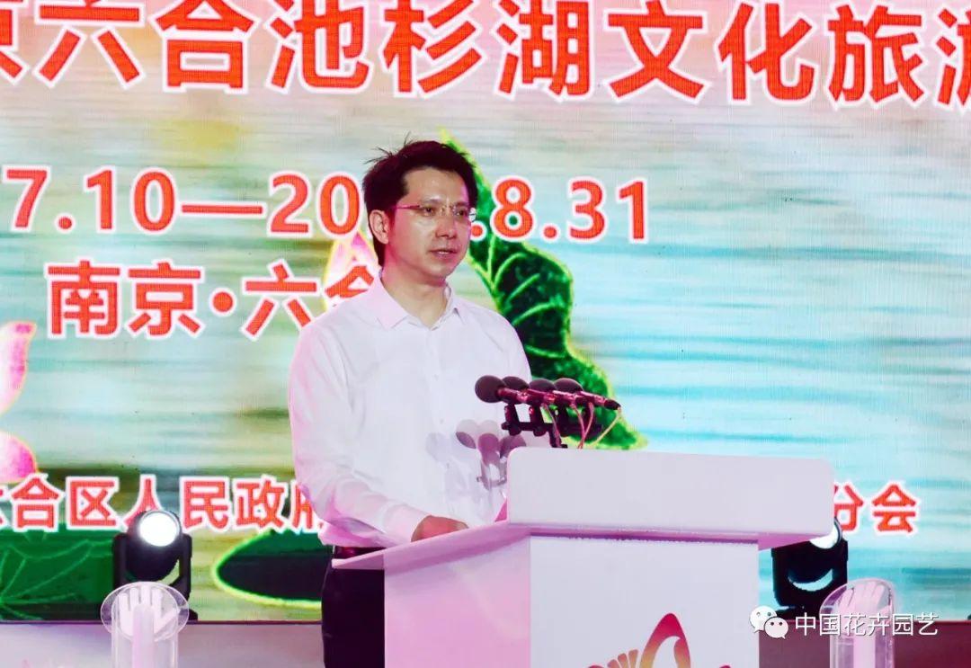 澳门六开走势图表分析，最新开奖号码的深度解读