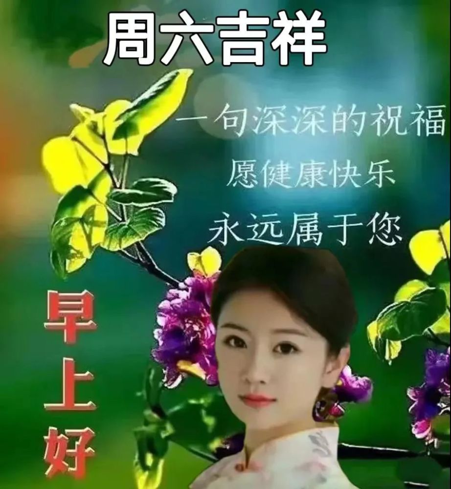 澳门六号论坛最新动态，深度解析与精彩图片集锦