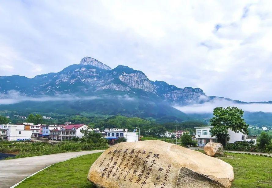 澳门六号彩开奖318，开奖结果查询与最新汇总分析