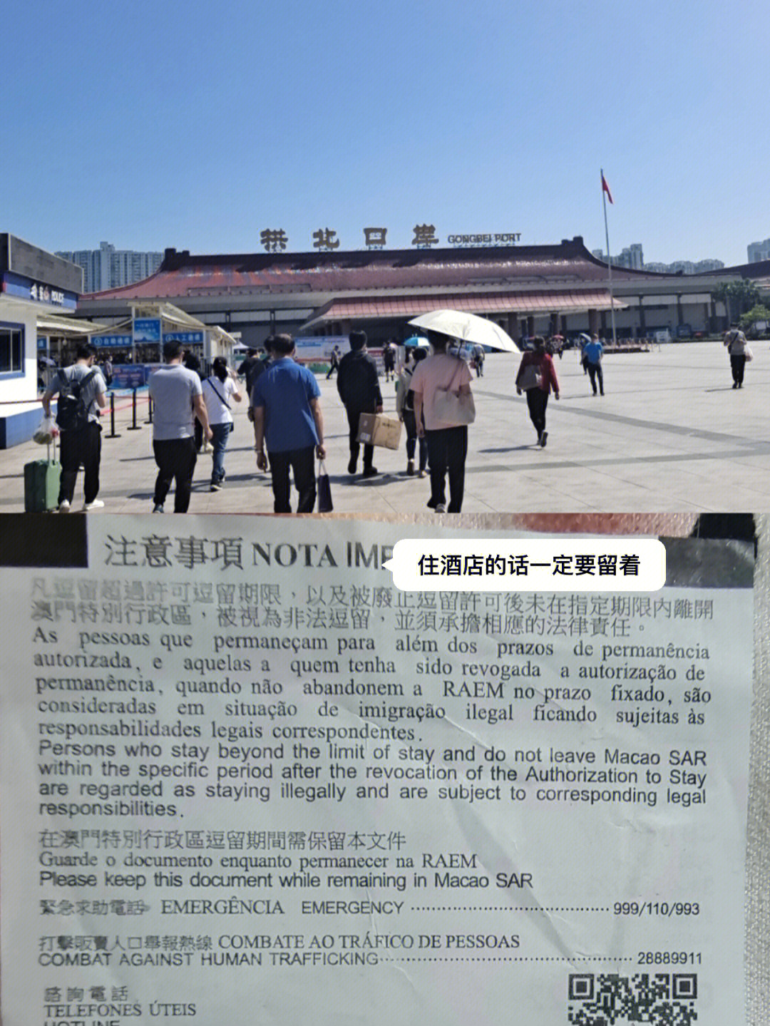 澳门六号码头预约电话查询全攻略