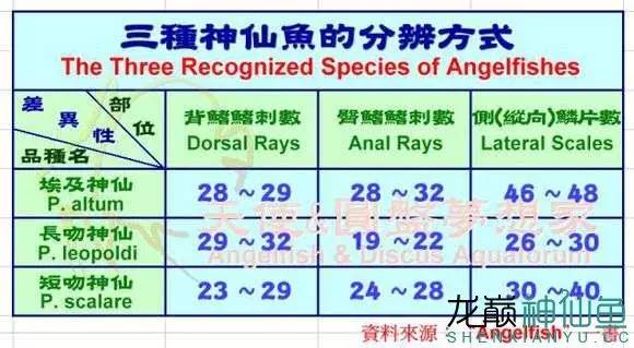 澳门六号码头预约规则及价格一览表详解