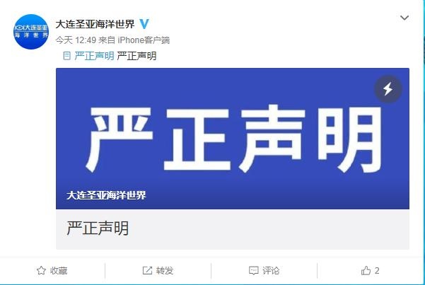 澳门六哥今日最新消息新闻视频大全免费播放完整